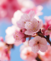 Out With The Cold, In With The Sold: House Sales Blossom In Spring! - Quealy & Co