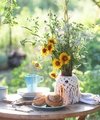 Low Maintenance Garden Ideas - Quealy & Co