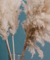 On Trend Accessories For Your Home This Spring - Quealy & Co