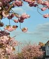 Your Easter 2024 Property Market Update From Quealy & Co