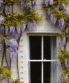Your May 2024 Property Market Update - Quealy & Co