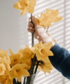 Your February 2025 Property Market Update - Quealy & Co