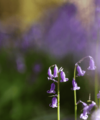 Your April 2025 Property Market Update - Quealy & Co