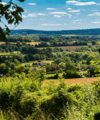 Kent Landscape That Inspired Dickens Declared New Nature Reserve - Quealy & Co