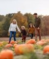 From Patch To Porch: Finding Your Perfect Pumpkin In Kent - Quealy & Co
