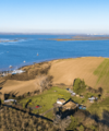 Your January 2026 Property Market Update - Quealy & Co
