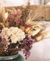 Bring The Outdoors Indoors To Secure Your Home Sale - Quealy & Co
