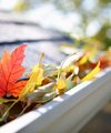 Autumn jobs for your home and garden - Quealy & Co