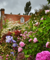 Your June property market update from Quealy & Co