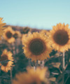 Your August Property Market Update From Quealy & Co