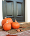 Your October property market update from Quealy & Co