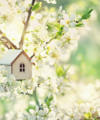 Step into spring - Quealy & Co