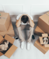 What is gazundering and how can I avoid it? - Quealy & Co