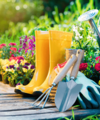 Gardens are highly sought after property feature - Quealy & Co