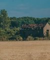 development consultancy empty land quealy - Quealy & Co