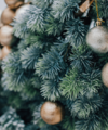 Our Christmas Opening Hours - Quealy & Co