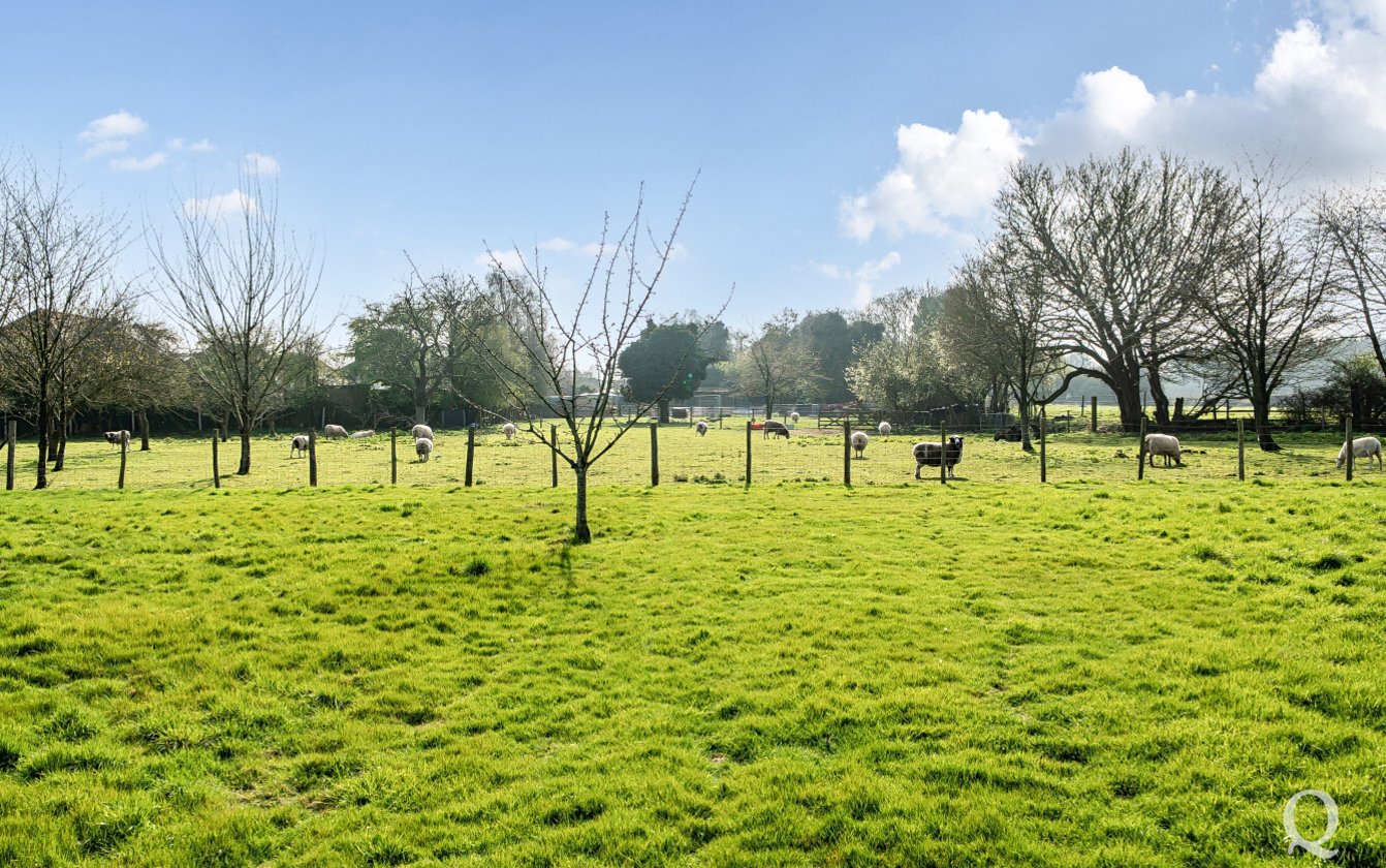 Bull Lane, Stockbury, Sittingbourne, Kent, ME9, 10429, image-52 - Quealy & Co