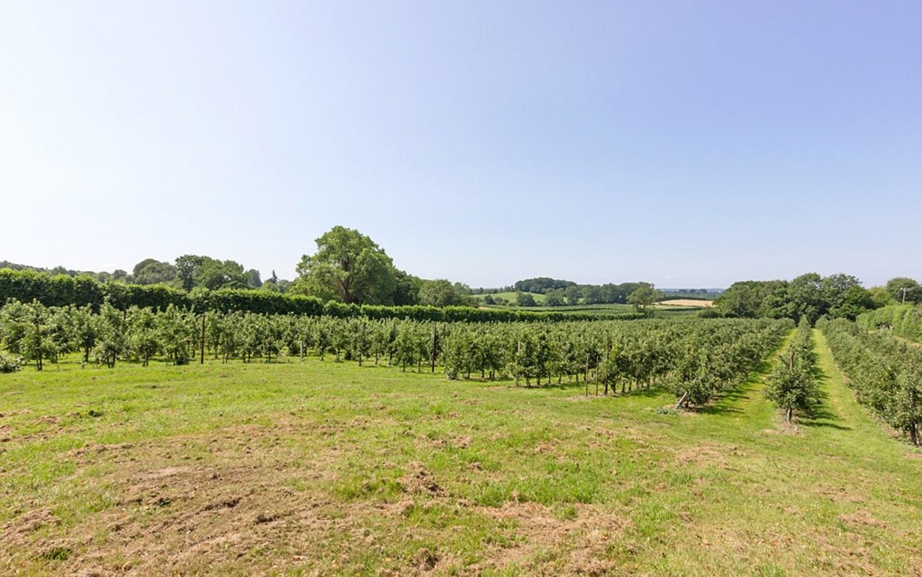 Selling Court, Selling, Faversham, ME13, 4288, image-39 - Quealy & Co