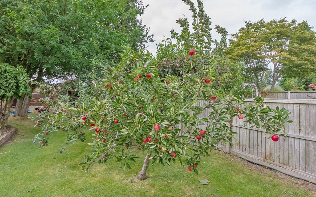 Park Drive, Sittingbourne, ME10, 4321, image-34 - Quealy & Co