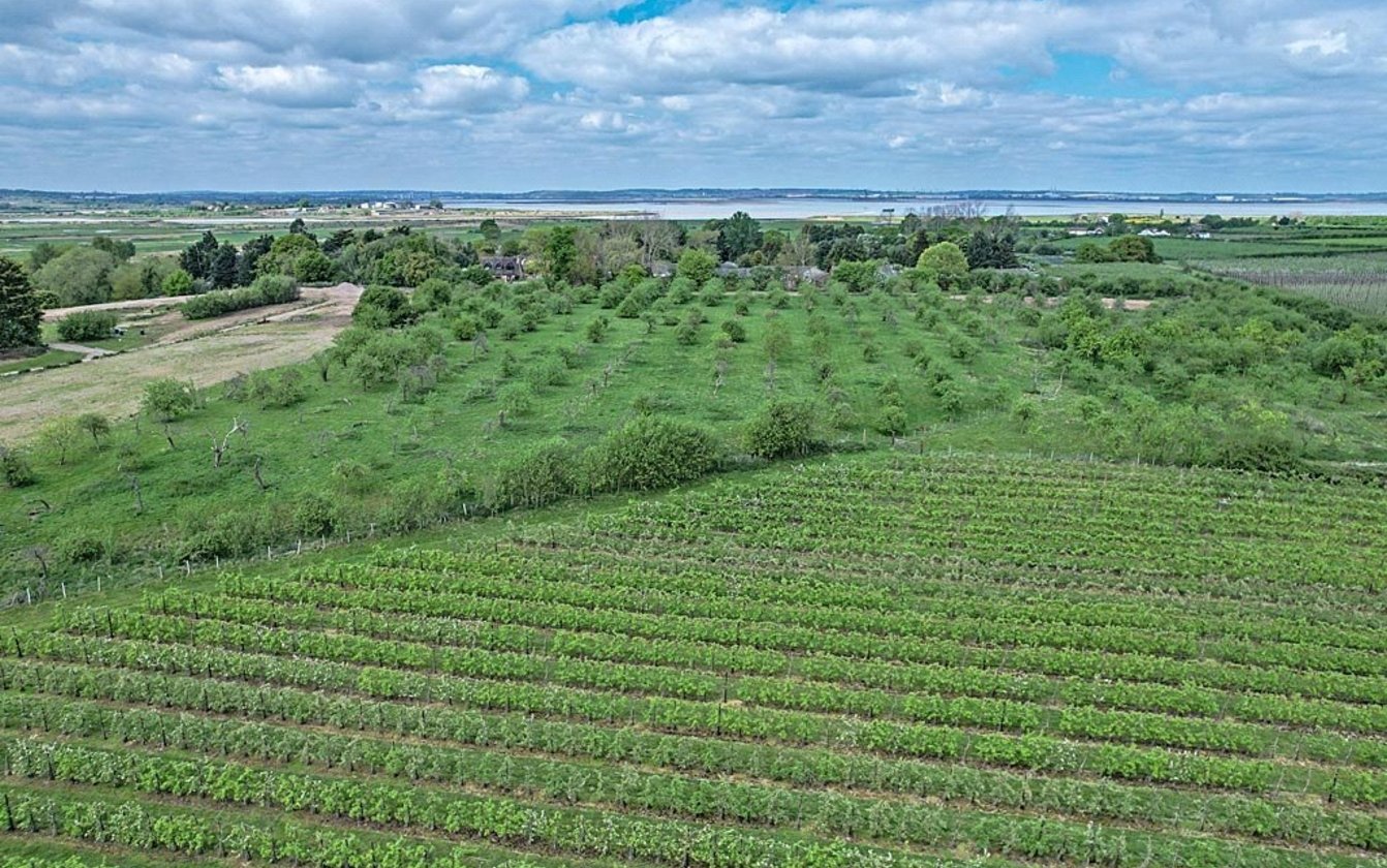 Wetham Green, Upchurch, Sittingbourne, ME9, 4664, image-27 - Quealy & Co