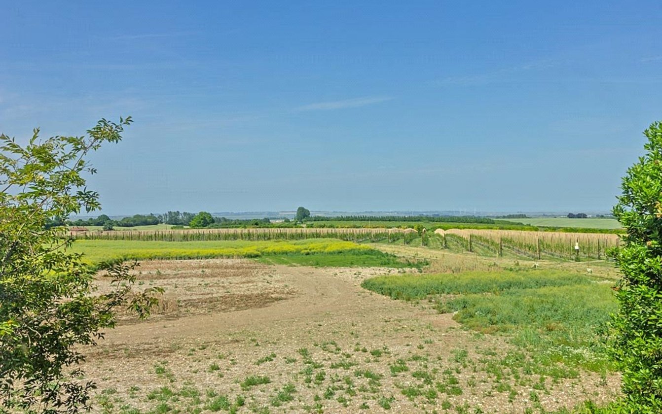 Rodmersham Green, Rodmersham, Sittingbourne, ME9, 4737, image-12 - Quealy & Co