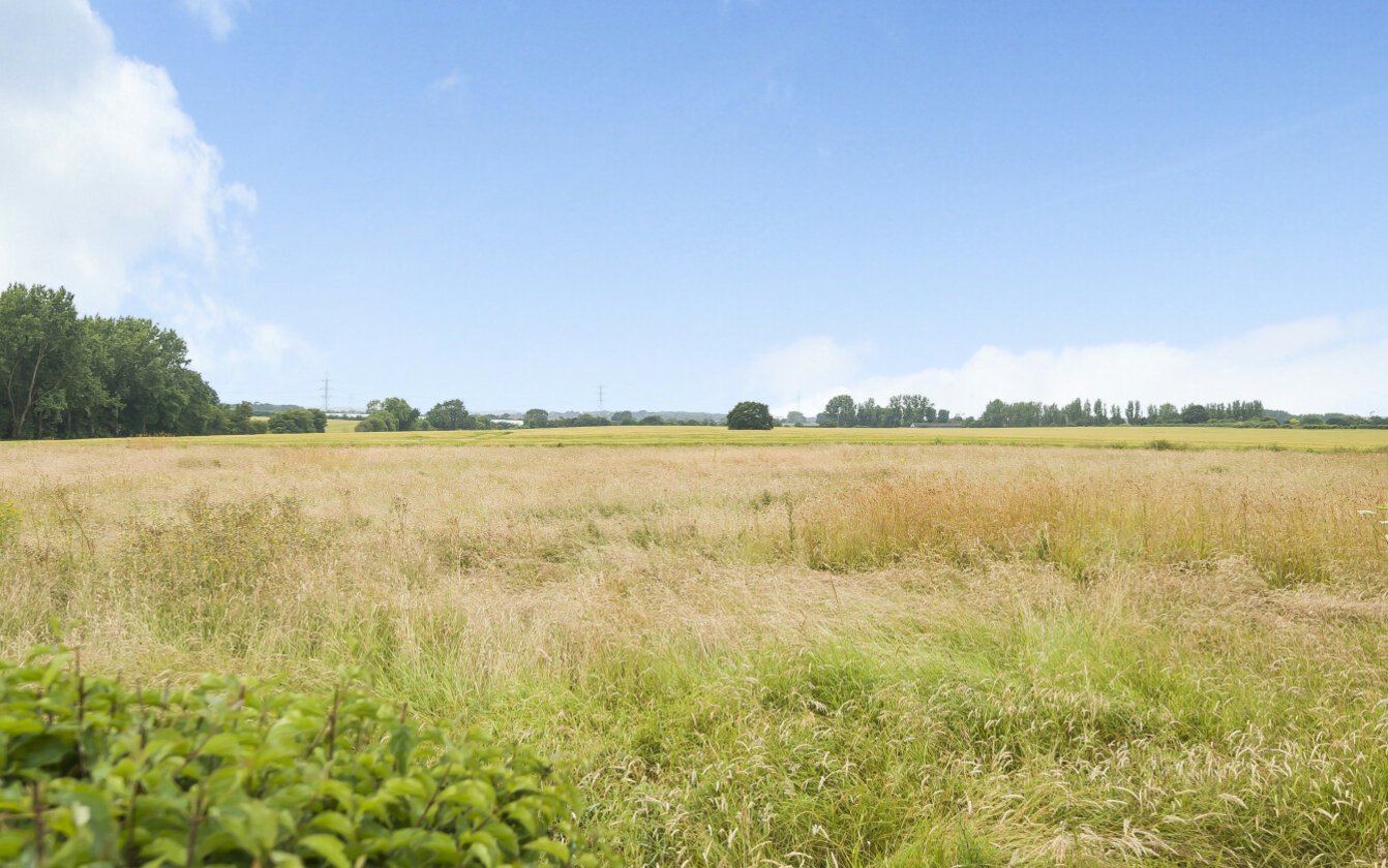 Ringlet Grove, Iwade, Sittingbourne, Kent, ME9, 5800, image-15 - Quealy & Co