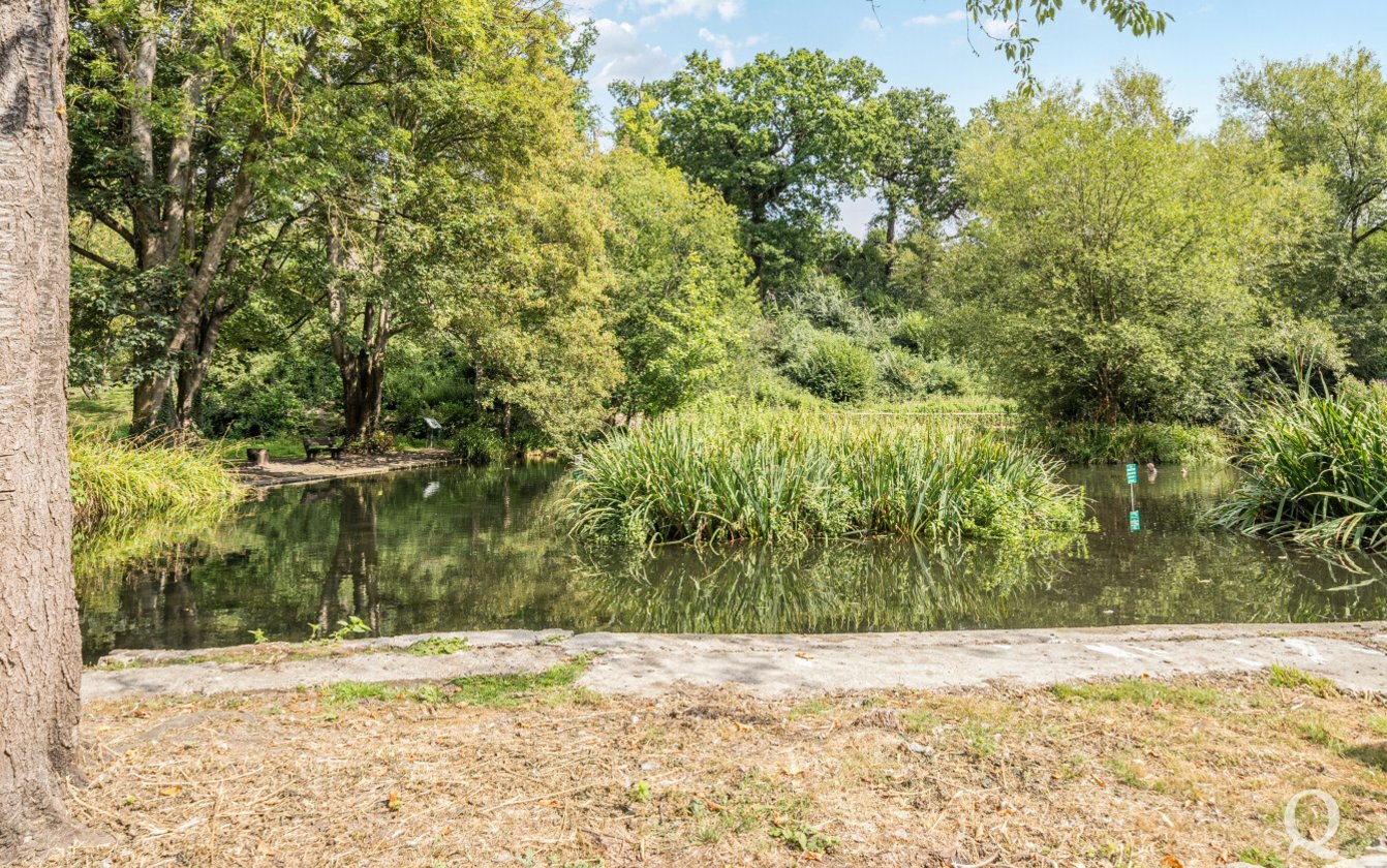 Hayle Mill Road, Maidstone, Kent, ME15, 7750, image-15 - Quealy & Co