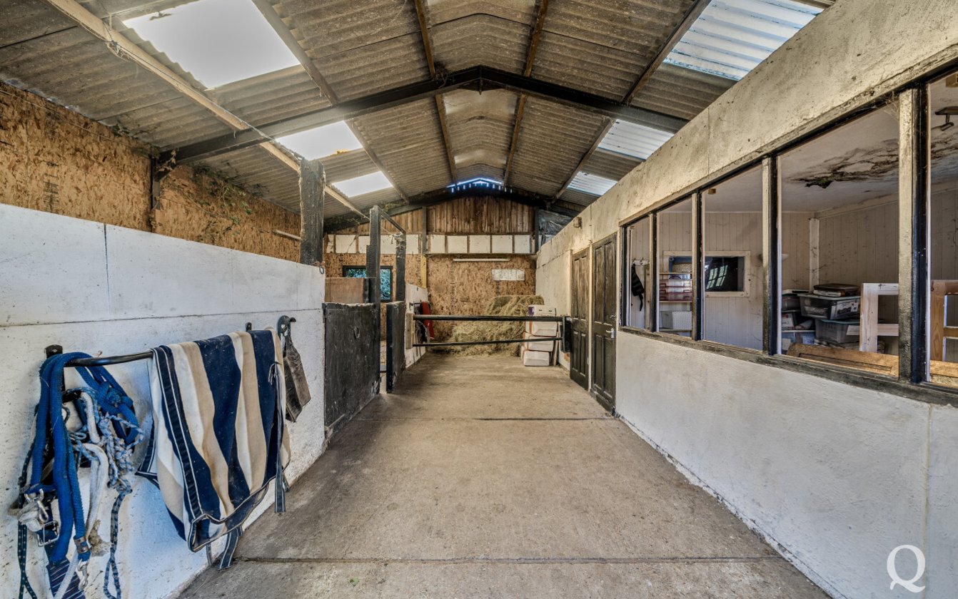 Dargate, Faversham, Kent, ME13, 8460, image-6 - Quealy & Co