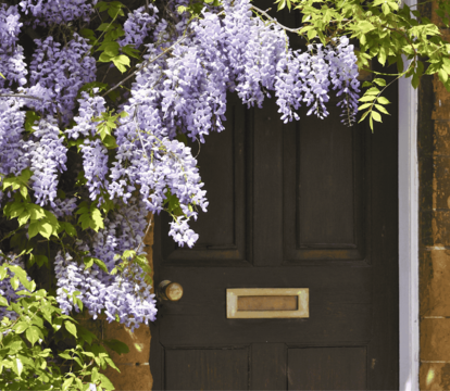 Your May 2025 Property Market Update - Quealy & Co