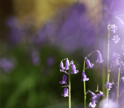 Your April 2025 Property Market Update - Quealy & Co