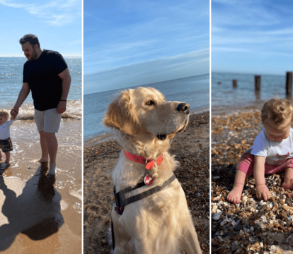 Kent Coastline Now Has 8 Blue Flag Award Beaches! - Quealy & Co