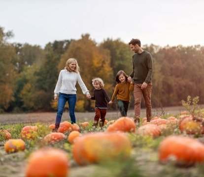 From Patch To Porch: Finding Your Perfect Pumpkin In Kent - Quealy & Co