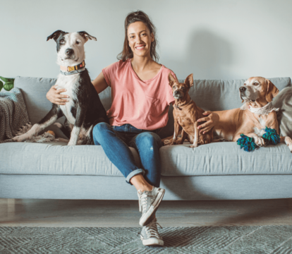 Renting with Pets: What Kent Landlords Need to Know - Quealy & Co
