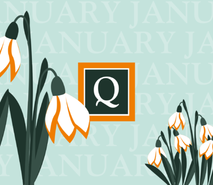 Your January 2025 Property Market Update - Quealy & Co