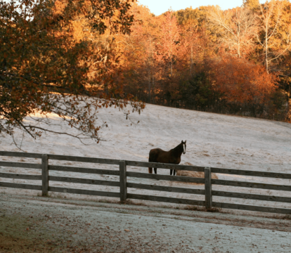 Your November   December 2022 Property Market Update from Quealy & Co