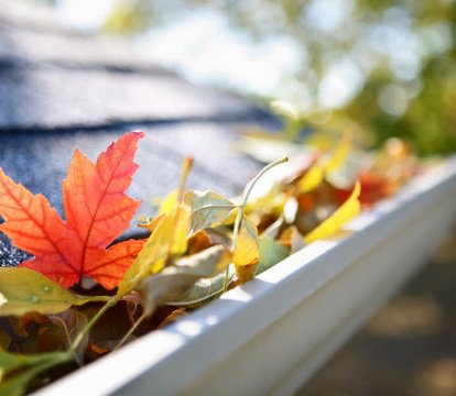 Autumn jobs for your home and garden - Quealy & Co
