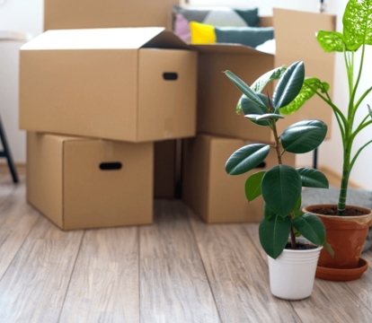 Moving home   expectation vs reality - Quealy & Co