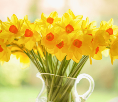 Your February 2023 Property Market Update - Quealy & Co