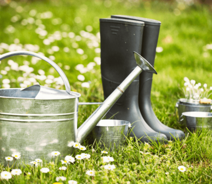 Don't Forget The Importance Of Your Garden When Selling Your Home - Quealy & Co