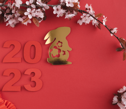 2023: The Year Of The Rabbit - Quealy & Co