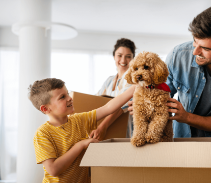 Tips for a smooth and stress free move with your pet - Quealy & Co