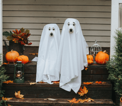 Haunted Houses Aren't Just For Halloween! Avoid These Scary Home Moving Challenges - Quealy & Co