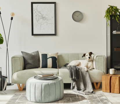 Demand soars for pet friendly rental homes - Quealy & Co