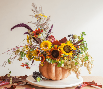 Our Top Home Staging Tips For Autumn - Quealy & Co