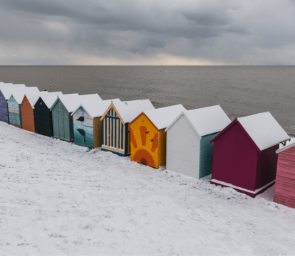 Your January property market update from Quealy & Co